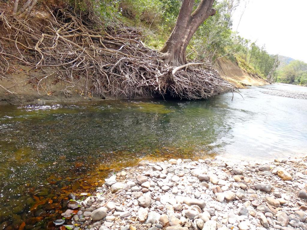 Running water and a cut-away bank – this is the perfect sooty ambush point! © Lee Brake